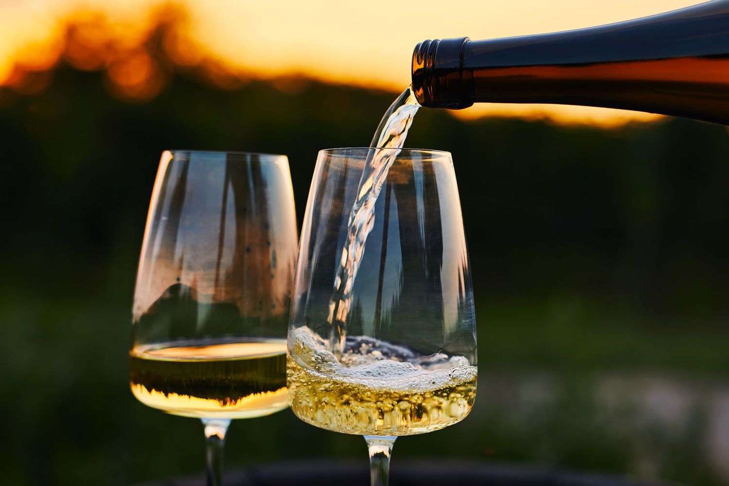 Wine Selection
