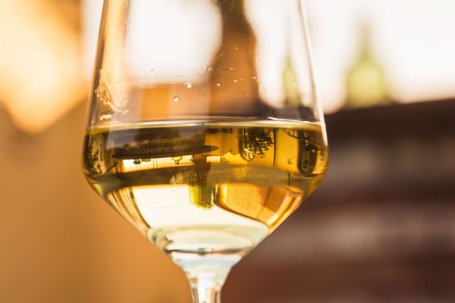 Wine service at the bar
